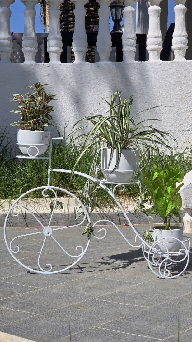 SUPPORT PLANTE 3 ESPACES VELO