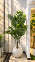 Palmier Areca MM 1.7M