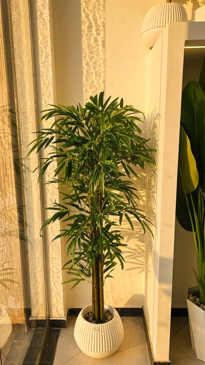Bambou PM 1.5M