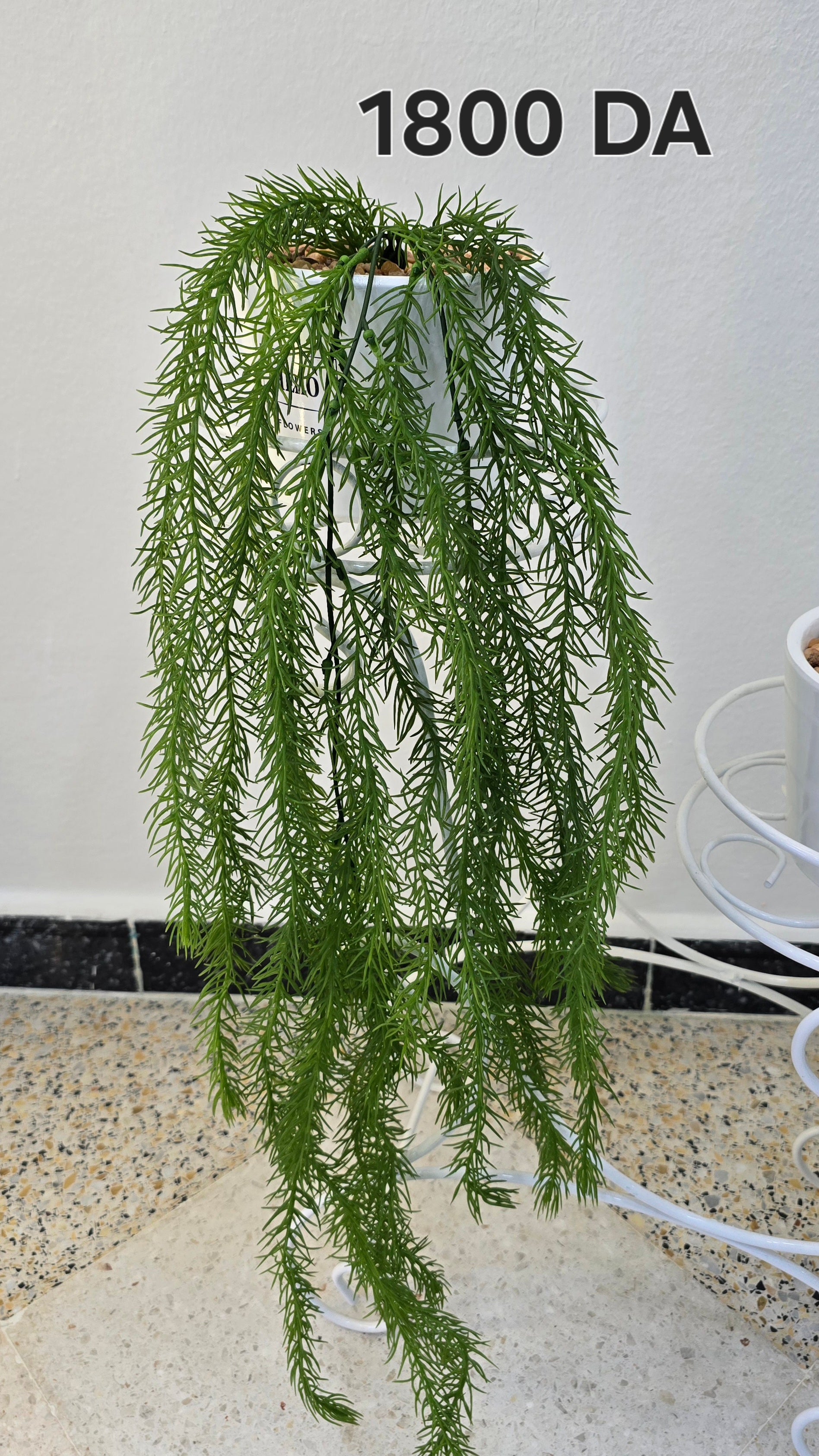 PLANTE B20