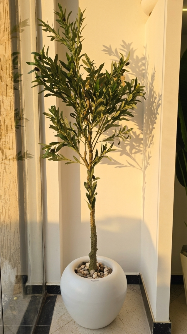 Olivier 03 "1.8m"