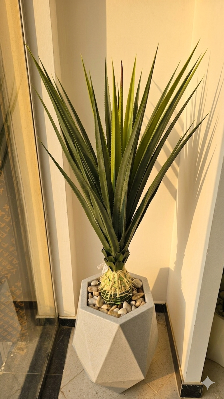 Agave 02