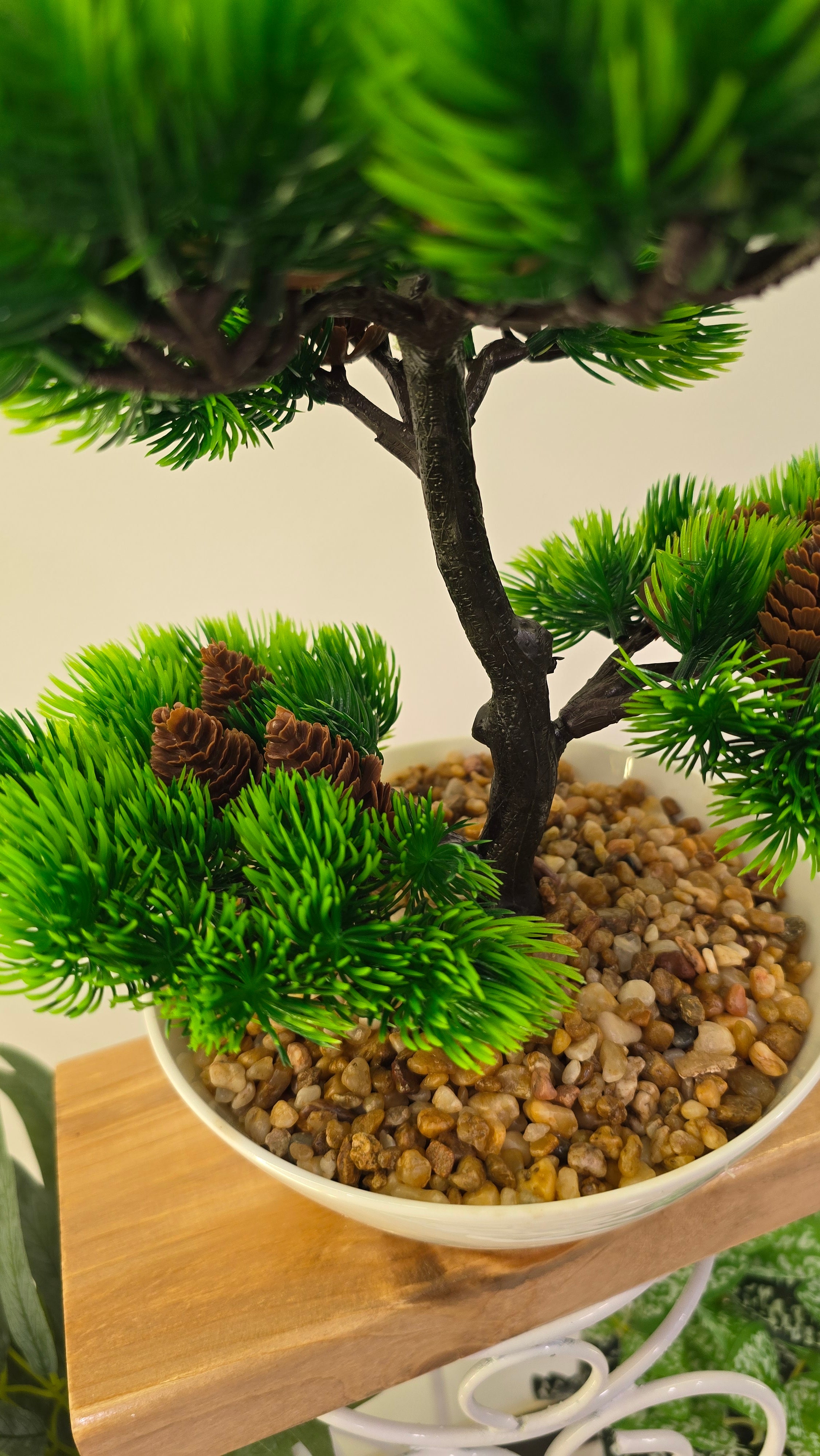 PLANTE C4