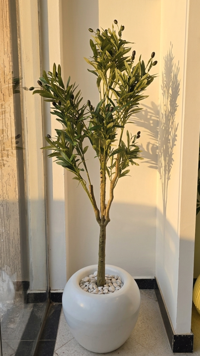 Olivier 03 "1.8m"
