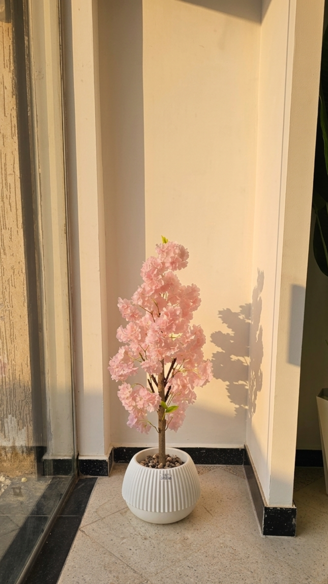 Sakura PM
