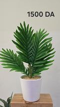 PLANTE A4