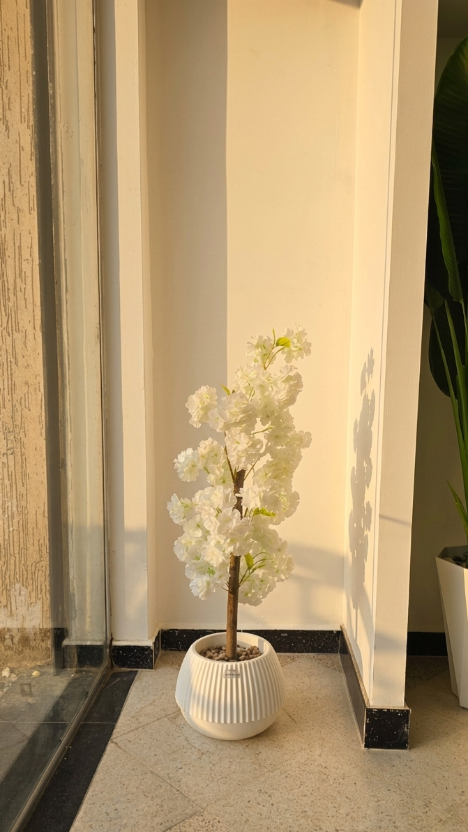 Sakura PM