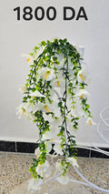 PLANTE B19