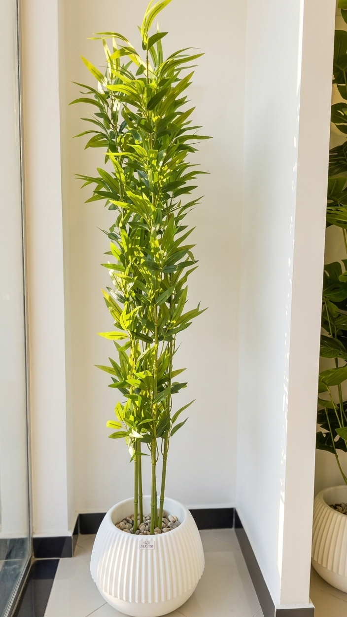 Bambou PM 1.5M "02"