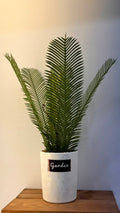 PLANTE C3