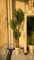 Palmier Areca MM 1.8M
