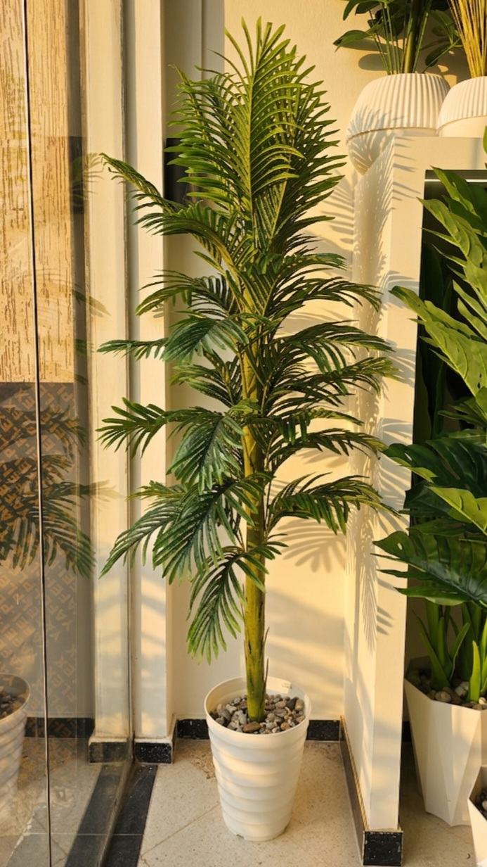 Palmier