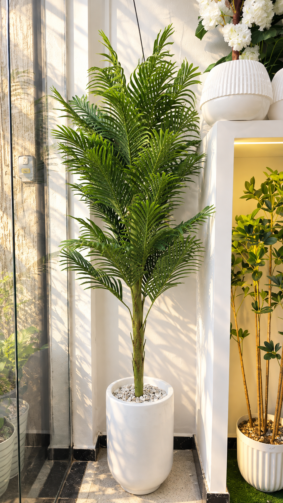 PALMIER POT CYLINDER 220cm