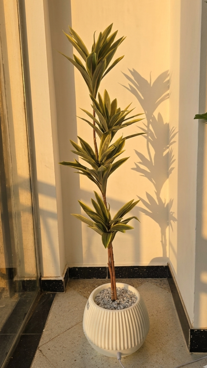 Bois de Chandelle POT LUMINEUX