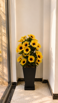 Tournesol
