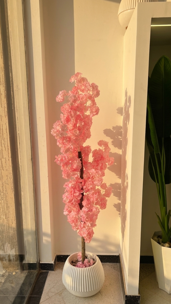 Sakura GM